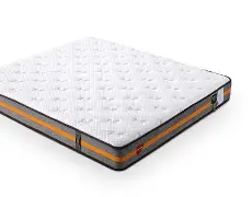 体育博彩-佛罗伦萨聚集多少杰出人才