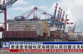 体育博彩-汉堡引援